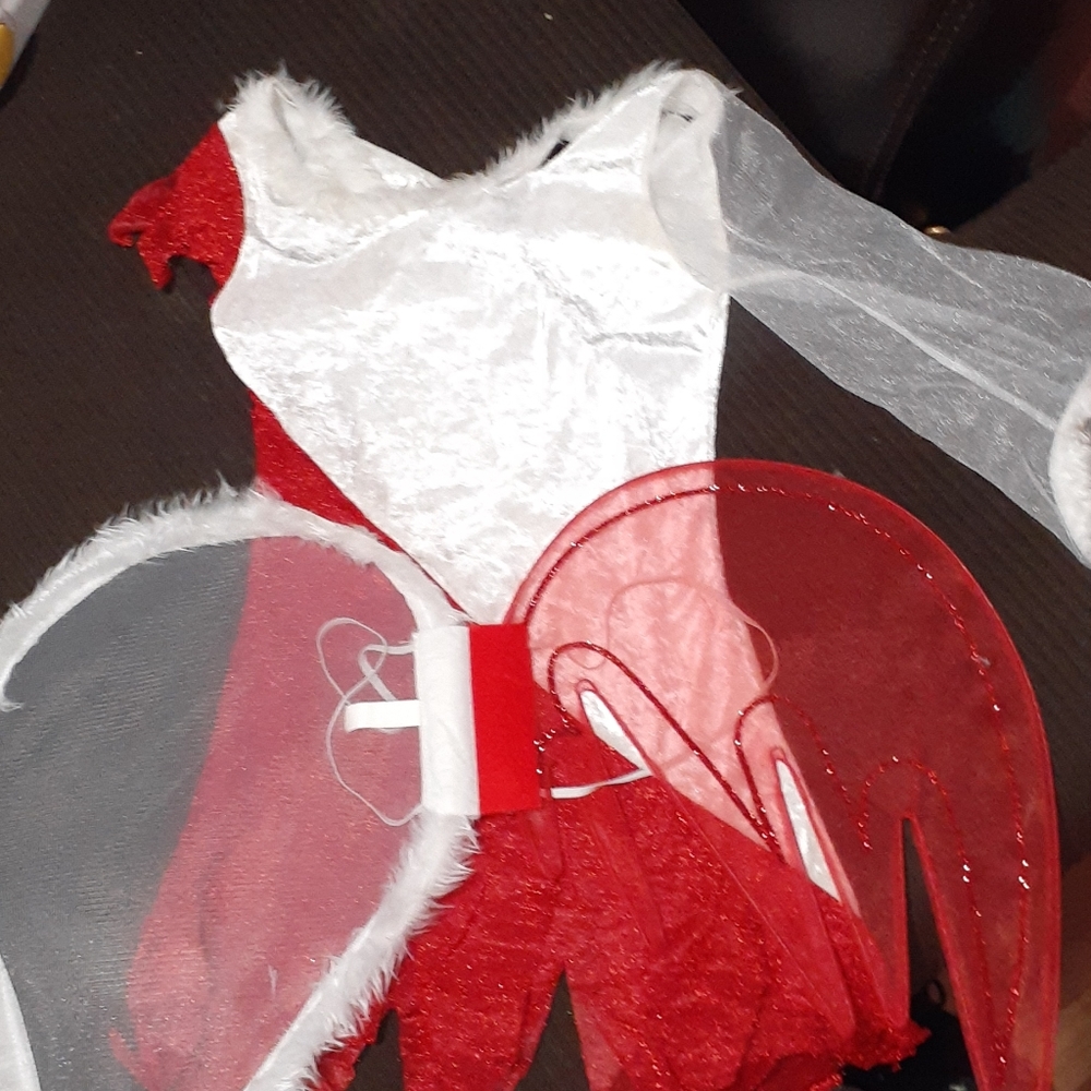 Costume